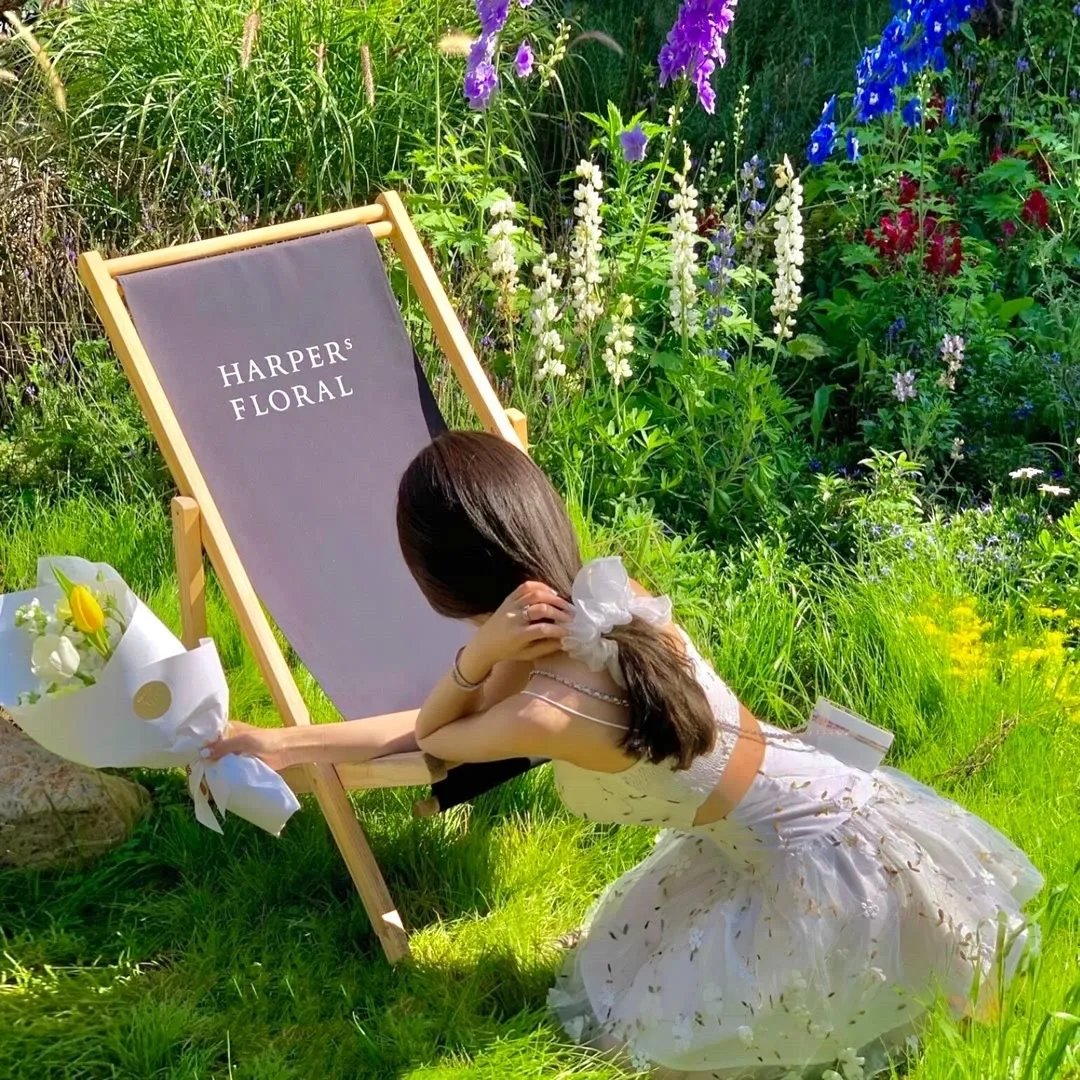 寅次郎的故事33：夜雾中的寅次郎